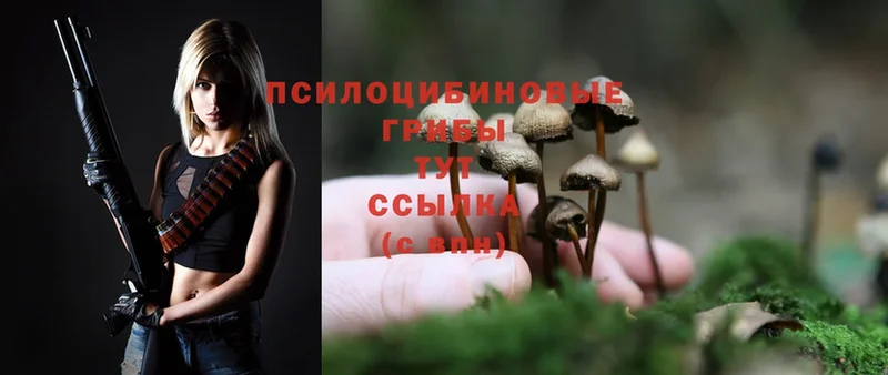 Галлюциногенные грибы MAGIC MUSHROOMS  Комсомольск-на-Амуре 